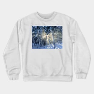 Dappled Sunlight in Winter Forest Crewneck Sweatshirt